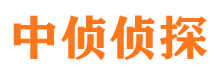 疏勒市调查公司